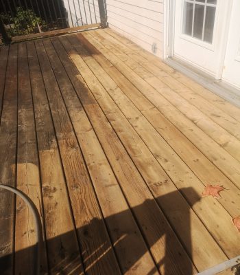 546473212_122104414995008562_1856885966349199820_n